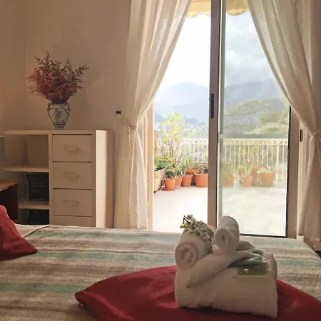 Pino - By Ligooria Pietra Ligure